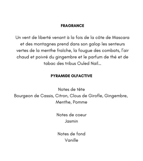 Trudon Bougie Parfumée Classique 270g